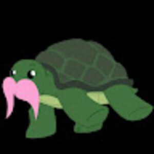 Meet your Posher, Karly